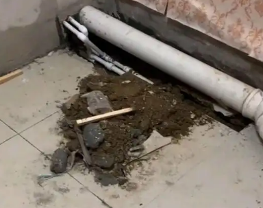 东阳卫生间漏水检测哪家好