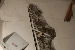 东阳卫生间漏水检测电话